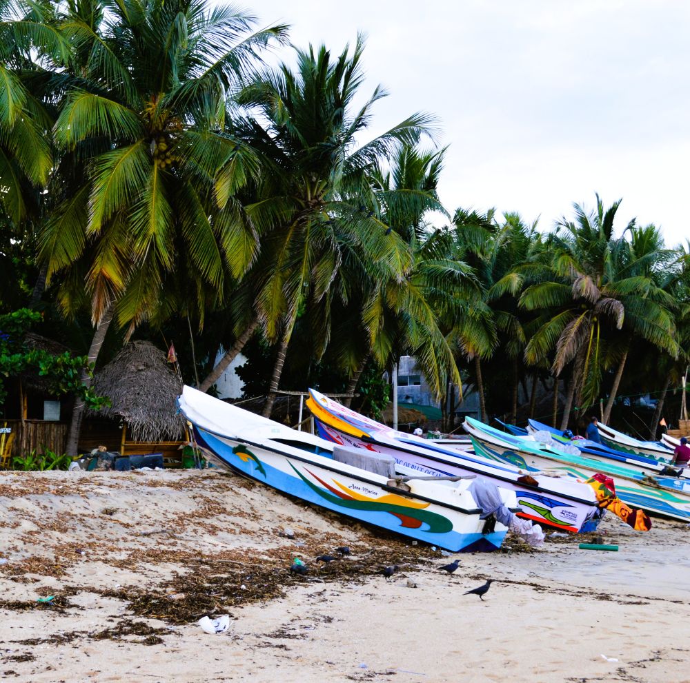 Arugam Bay